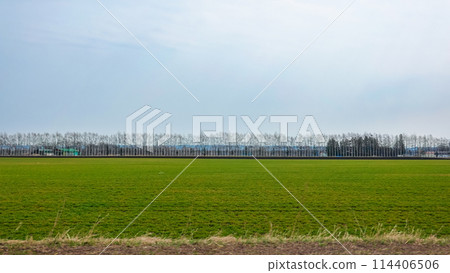 白樺防風草甸（北海道音更町） 114406506