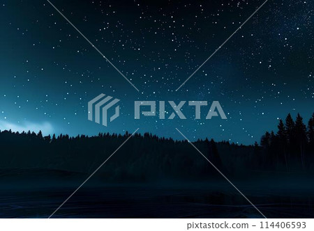 Fantastic starry night landscape with trees and Milky Way 114406593