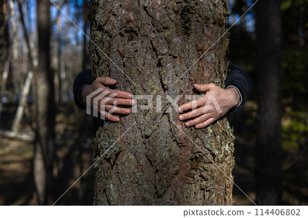 On the trunk of a large tree in the forest lie the hands of a man, hugging him in a protective sign. Saving forests from deforestation. Hands hug the trunk of a century-old tree in the forest. On the trunk of a large tree in the forest lie the hands of a man, hugging him in a protective sign. Saving forests from deforestation. Hands hug the trunk of a century-old tree in the forest. 114406802