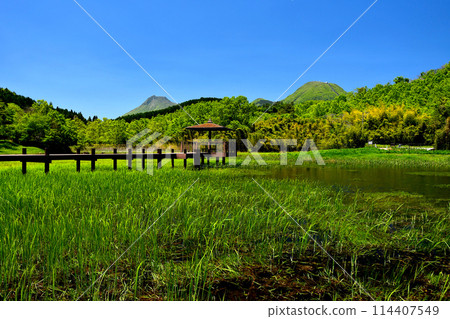 初夏的神樂湖、由布山、鶴見山 114407549