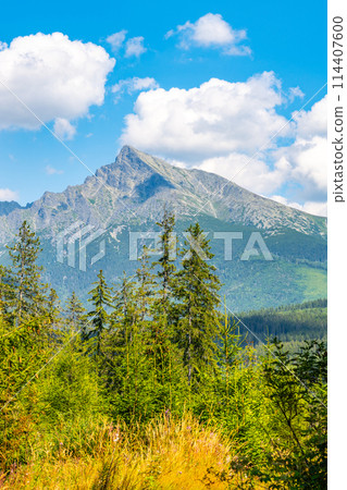 A sunny day view of Krivan, capturing its rugged peak against a blue sky with white clouds, surrounded by lush greenery. High Tatras, Slovakia 114407600
