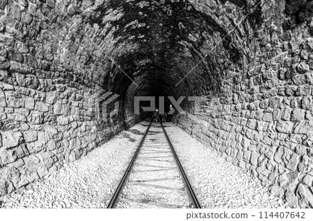 A captivating view inside a stone railway tunnel, with tracks leading towards a distant light. The greenish hue on the walls adds a touch of mystery. Black and white image. A captivating view inside a stone railway tunnel, with tracks leading towards a distant light. The greenish hue on the walls adds a touch of mystery. Black and white image. 114407642