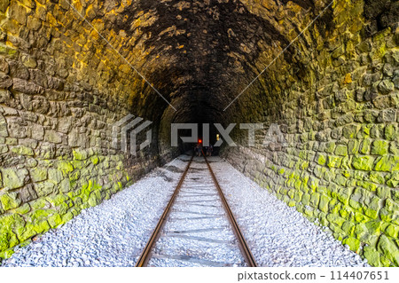 A captivating view inside a stone railway tunnel, with tracks leading towards a distant light. The greenish hue on the walls adds a touch of mystery 114407651
