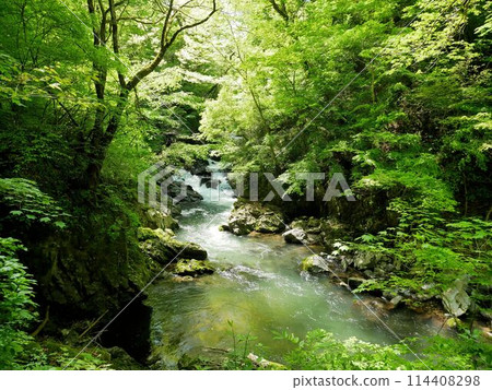 Taishaku River (Taishaku Gorge, Shobara City, Hiroshima Prefecture) 114408298