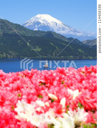 Kanagawa Prefecture, Early summer scenery of Onshi Hakone Park (Azaleas and a pirate ship), May 114408386