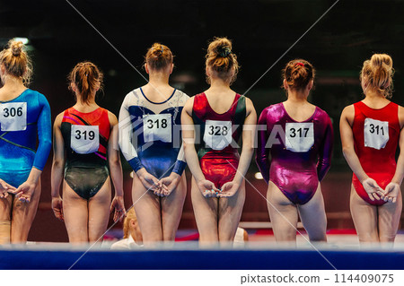 rear view group female gymnasts before start of gymnastics performance rear view group female gymnasts before start of gymnastics performance 114409075