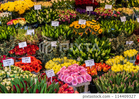 Singel Flower Market, Amsterdam, Netherlands 114409327