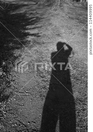 自我港口晚了 自我港口晚了 114409995