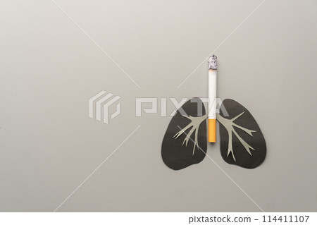 World no tobacco day concept. Unhealthy lung organ with cigarettes or tobacco on gray background. Lung diseases caused by smoking include COPD, asthma attack and lung cancer. 114411107