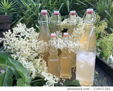 接骨木花糖漿 114411165