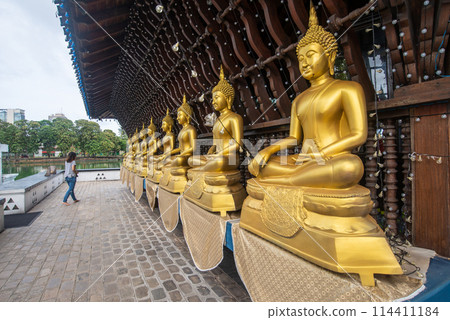 Group of Buddha statues in Seema Malaka buddhist temple in the Beira Lake in Colombo, Sri Lanka. Seema Malaka temple is one of an iconic place in Colombo. Group of Buddha statues in Seema Malaka buddhist temple in the Beira Lake in Colombo, Sri Lanka. Seema Malaka temple is one of an iconic place in Colombo. 114411184