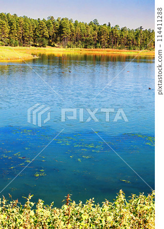 Lake of the Woods Arizona Lake of the Woods Arizona 114411288
