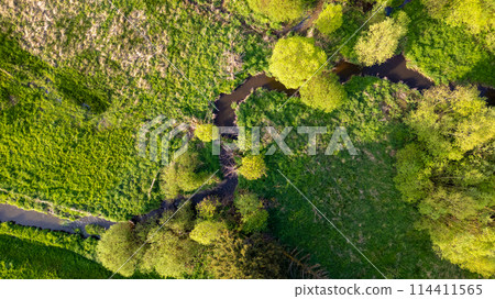 Aerial View of a Serpentine River Winding Through Lush Forest Aerial View of a Serpentine River Winding Through Lush Forest 114411565