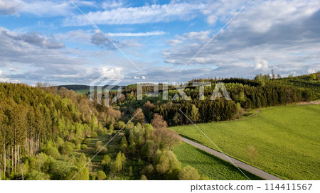 Lush Landscape of Hautes Fagnes Region with Forest and Fields Lush Landscape of Hautes Fagnes Region with Forest and Fields 114411567