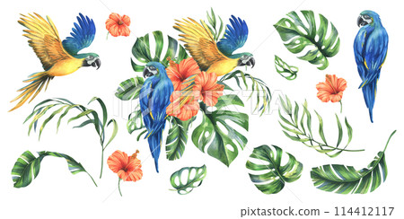 Tropical palm leaves, monstera and flowers of plumeria, hibiscus, bright juicy with blue-yellow macaw parrot. Hand drawn watercolor botanical illustration. Set of elements isolated from background 114412117