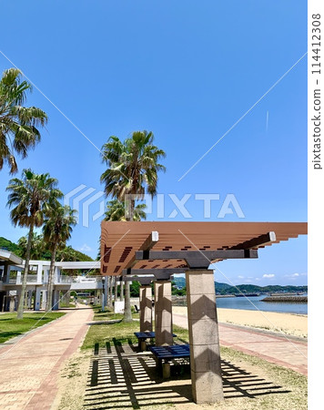 Miyazaki beach where palm trees and pergola roofs stand out against the blue sky (Kira Waikiki Beach/Nishio City, Aichi Prefecture) 114412308