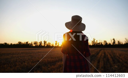 Female farmer going through the barley plantation at sunset. Young agronomist walking among wheat meadow at dusk. Beautiful scenic landscape. Concept of agricultural business. Close up Slow mo 114412603