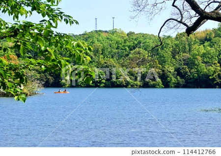 Spring scenery, the season when Lake Ippeki shines 114412766