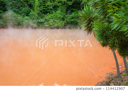 Scenery of the piping hot Blood Pond Hell 114412907