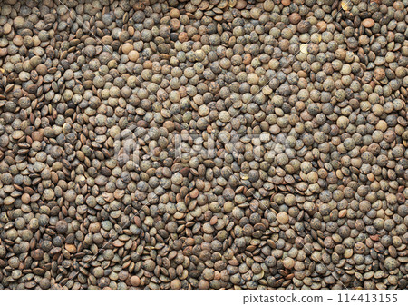 Green raw healthy lentils grain seeds textured background. Green raw healthy lentils grain seeds textured background. 114413155