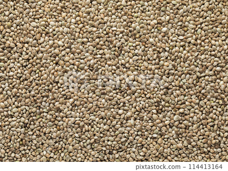 Green raw healthy organic hemp food seeds textured background. 114413164