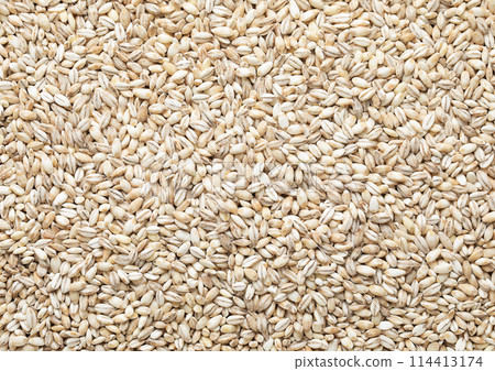 Healthy raw pearl barley grain seed textured background. Healthy raw pearl barley grain seed textured background. 114413174