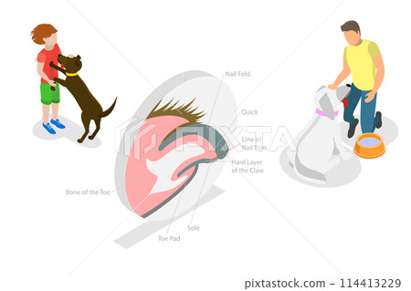 3D Isometric Flat Conceptual Illustration of Dog Nail Trimming, Veterinary Pedicure 3D Isometric Flat Conceptual Illustration of Dog Nail Trimming, Veterinary Pedicure 114413229