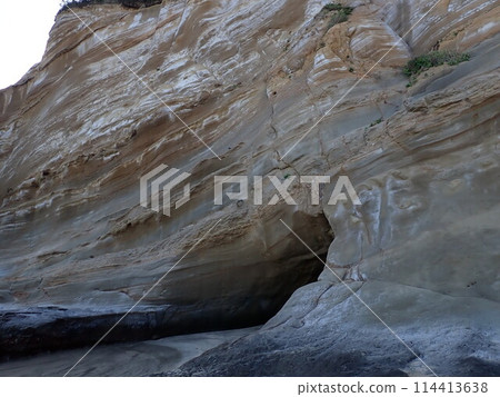 Izaya at the Chisato 114413638