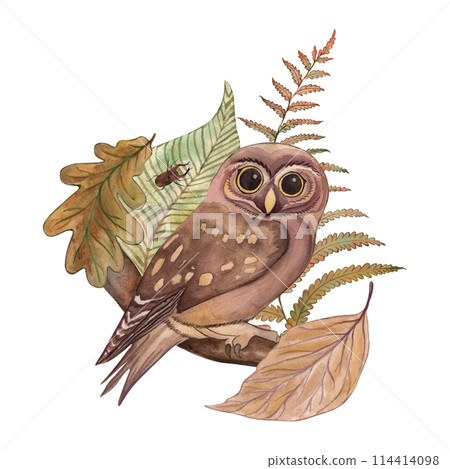 Bird, owl, tree branch, leaves, autumn, gray, illustration painted in watercolor on a white background. Suitable for printing cards, posters, textiles, fabrics, fashion design, accessories, tableware. 114414098