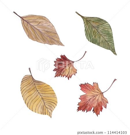 Autumn, leaf, leaves, red, forest, yellow, green - a set of illustrations drawn on a white background. For design and printing of cards, invitations, textiles, fabric. Wedding, holiday, thanksgiving. Autumn, leaf, leaves, red, forest, yellow, green - a set of illustrations drawn on a white background. For design and printing of cards, invitations, textiles, fabric. Wedding, holiday, thanksgiving. 114414103