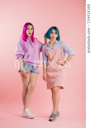 shocked attractive stylish girls in stylish clothes looking at the camera shocked attractive stylish girls in stylish clothes looking at the camera 114414168