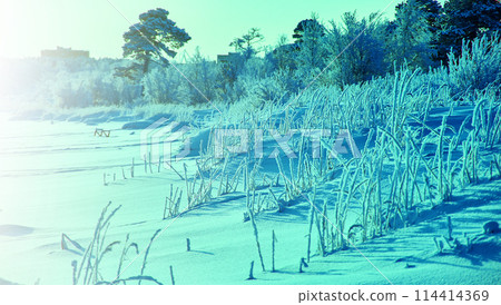Beautiful Christmas landscape Beautiful Christmas landscape 114414369