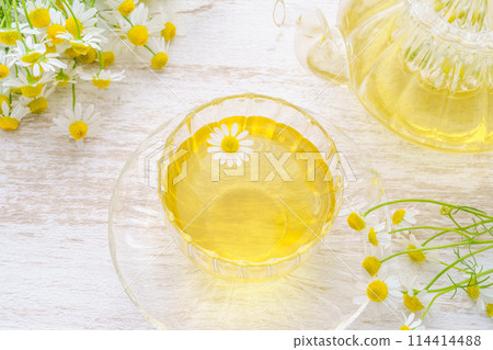 Fresh chamomile flowers and a teacup of herbal tea Fresh chamomile flowers and a teacup of herbal tea 114414488