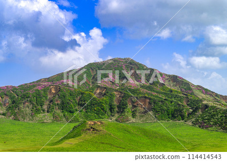 Kusasenrigaoka landscape with Mount Eboshi and its blooming Miyamakirishi flowers in the background (around Mount Aso's Nakadake and Aso Crater) 114414543