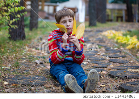 Beautiful boy sits with yellow leaves. Child on an autumn walk. 114414865