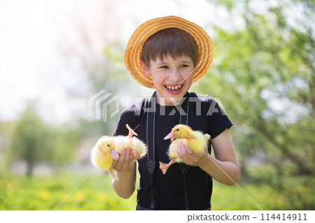 Happy boy holding ducklings on the background of nature. Child and ducklings. Happy boy holding ducklings on the background of nature. Child and ducklings. 114414911