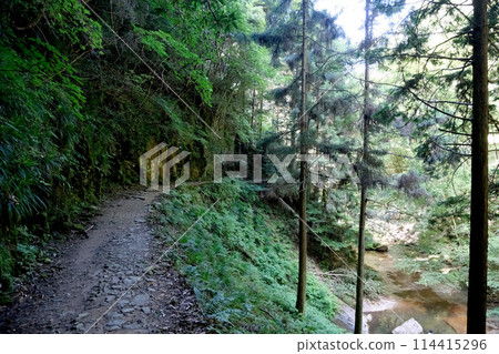 奈良縣宇田市_深谷龍欽谷15_2023年7月 114415296