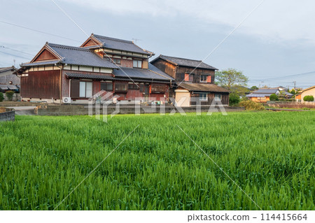 Farmer wooden house by paddy rice farm in city of Yanagawa Farmer wooden house by paddy rice farm in city of Yanagawa 114415664