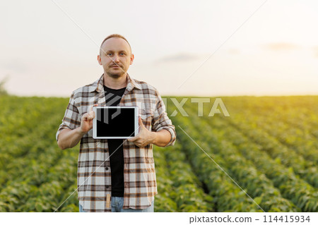 Male farmer shows digital tablet with empty black screen on green soybeans field. Smart farming technology and organic agriculture concept. Quality control growth and development soya plants Male farmer shows digital tablet with empty black screen on green soybeans field. Smart farming technology and organic agriculture concept. Quality control growth and development soya plants 114415934
