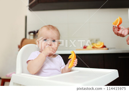 Adorable baby girl eating orange. Little daughter sitting in feeding chair and eating slice of orange at kitchen and playing with mom. Juicy fruits oranges are for a healthy diet. Happy childhood. 114415975