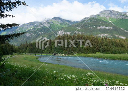 Scenic River Landscape in Haines, Alaska 114416132