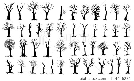 Bare trees silhouettes set. Vector illustration outline forest and trunk wood collection. Art shape drawing and element stem clip art. Dead tree abstract isolated 114416225