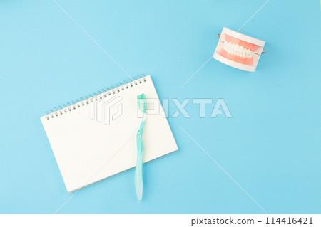 Jaw model with toothbrush on desk. 114416421