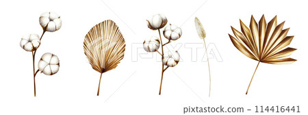 Realistic set with dried branch, pampas grass, cotton flowers. Watercolor hand drawn boho plants isolated on background. Christmas, winter, and wedding illustration. For designers, invitations, Realistic set with dried branch, pampas grass, cotton flowers. Watercolor hand drawn boho plants isolated on background. Christmas, winter, and wedding illustration. For designers, invitations, 114416441