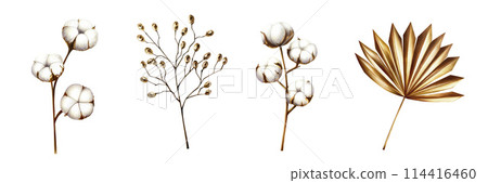 Realistic set with dried branch, pampas grass, cotton flowers. Watercolor hand drawn boho plants isolated on background. Christmas, winter, and wedding illustration. For designers, invitations, Realistic set with dried branch, pampas grass, cotton flowers. Watercolor hand drawn boho plants isolated on background. Christmas, winter, and wedding illustration. For designers, invitations, 114416460