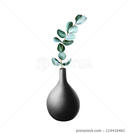Black antique ceramic vase with eucalyptus branch. Watercolor hand drawn clay pot isolated on background. Minimalistic illustration, for interior, designers, invitations, decoration, postcards, Black antique ceramic vase with eucalyptus branch. Watercolor hand drawn clay pot isolated on background. Minimalistic illustration, for interior, designers, invitations, decoration, postcards, 114416462