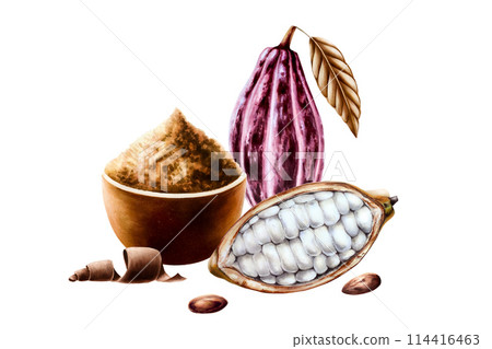 Open cocoa pod, fruit and dry leaf, curl slices of chocolate, brown ceramic bowl of cocoa powder or cinnamon. Watercolor hand drawn realistic organic superfood illustration isolated on background. For Open cocoa pod, fruit and dry leaf, curl slices of chocolate, brown ceramic bowl of cocoa powder or cinnamon. Watercolor hand drawn realistic organic superfood illustration isolated on background. For 114416463