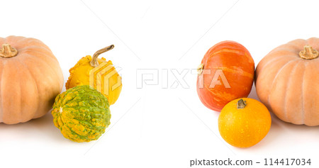 Pumpkins isolated on a white. There is free space for text. Wide photo. Collage. Pumpkins isolated on a white. There is free space for text. Wide photo. Collage. 114417034