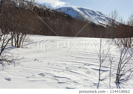 Hibiny, melting snow, spring sun, icicles, roads, Kirovsk Hibiny, melting snow, spring sun, icicles, roads, Kirovsk 114418662