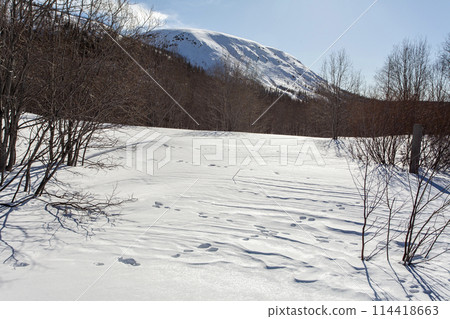 Hibiny, melting snow, spring sun, icicles, roads, Kirovsk Hibiny, melting snow, spring sun, icicles, roads, Kirovsk 114418663